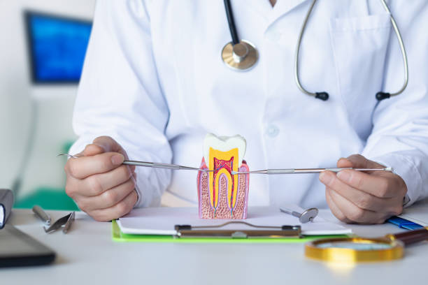 Best After-Hours Emergency Dentist in Margaret, AL